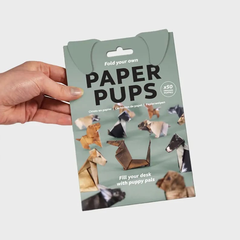 DIY Papperskatter